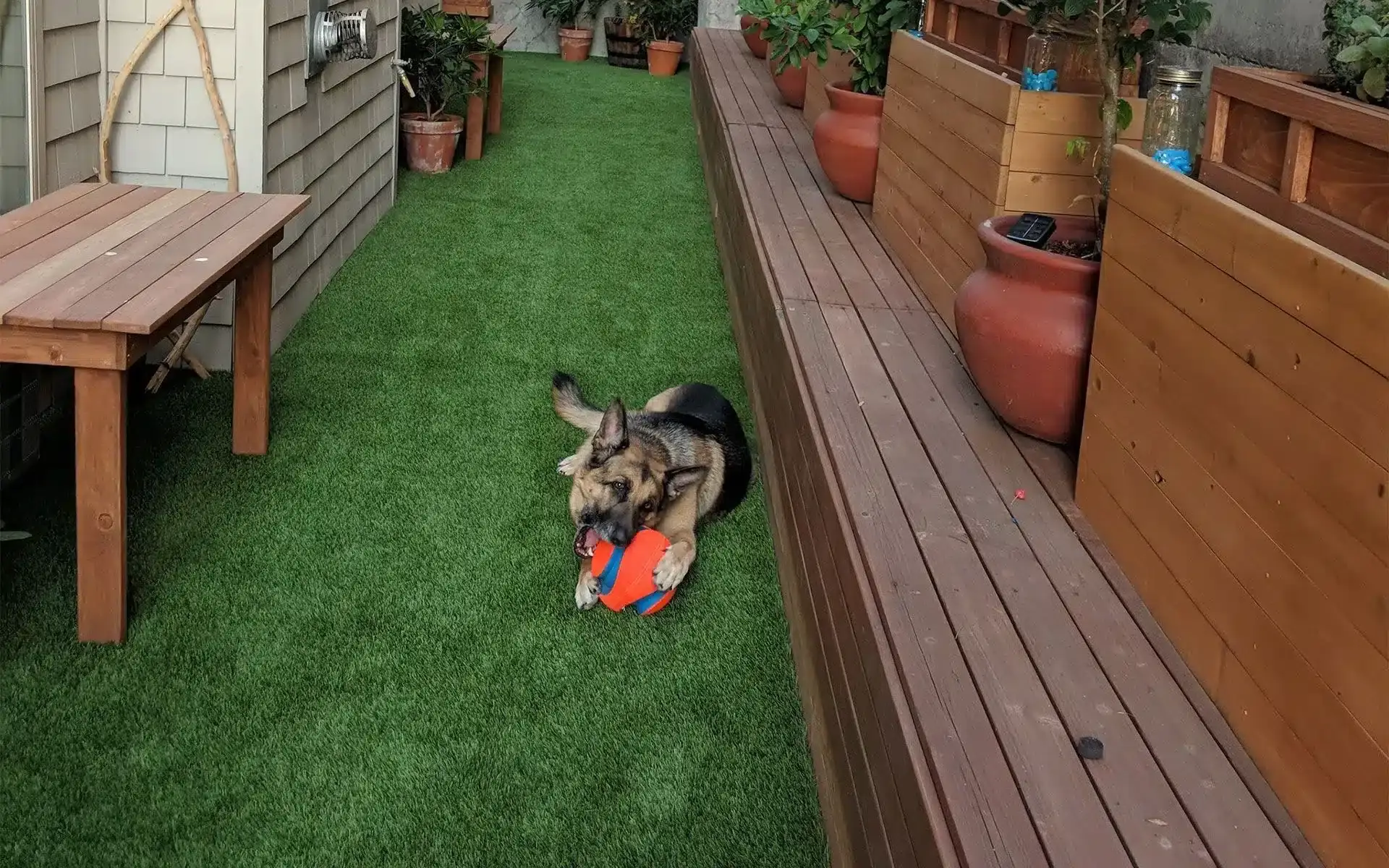 Pet Friendly Turf Installation in The Woodlands, TX